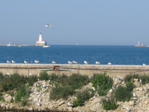 Chicago Harbor Lighthouse