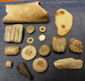 Bones, fossils and coal from along Sugar Creek
