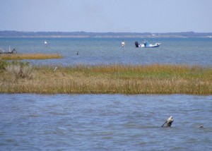 San Antonio Bay with a Snowy Egret in the foreground grass