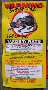 These signs were posted everywhere