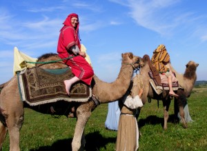 2009_0430camels0553-2 2009_0430camels0553-2