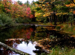 2009_0430Michigan0915 2009_0430Michigan0915