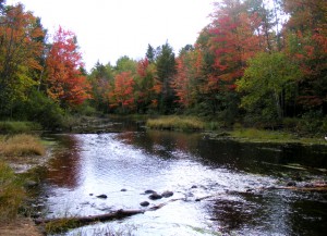2009_0430Michigan0918 2009_0430Michigan0918