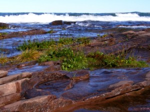 2009_0430Michigan1087-1 2009_0430Michigan1087-1