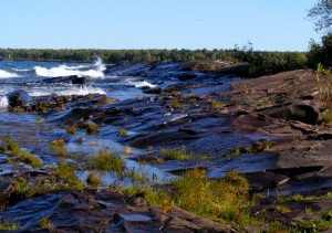 2009_0430Michigan1090 2009_0430Michigan1090