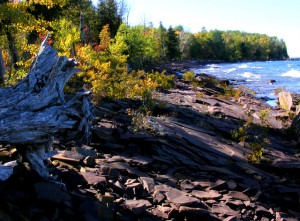 2009_0430Michigan1092 2009_0430Michigan1092
