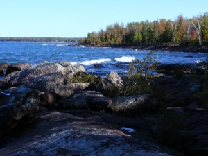 2009_0430Michigan1099 2009_0430Michigan1099