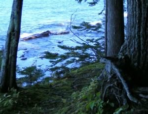 2009_0430Michigan1116 2009_0430Michigan1116