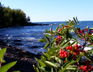 2009_0430Michigan1127 2009_0430Michigan1127