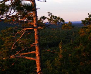 2009_0430Michigan1145-1 2009_0430Michigan1145-1
