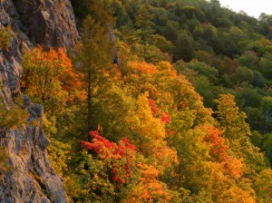 2009_0430Michigan1150-1 2009_0430Michigan1150-1