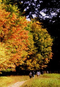2009_0430Michigan1158 2009_0430Michigan1158