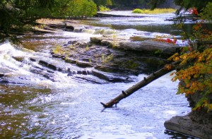 2009_0430Michigan1161 2009_0430Michigan1161
