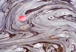 2009_0430Michigan1192 2009_0430Michigan1192