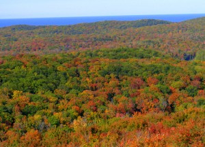 2009_0430Michigan1243 2009_0430Michigan1243