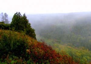 2009_0430Michigan1459 2009_0430Michigan1459