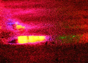 2009_0430various0173 2009_0430various0173