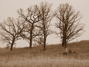2009_0430glacialpark0139 2009_0430glacialpark0139