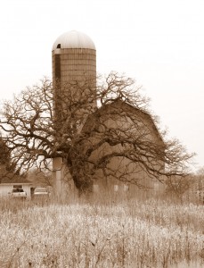2009_0430glacialpark0176 2009_0430glacialpark0176