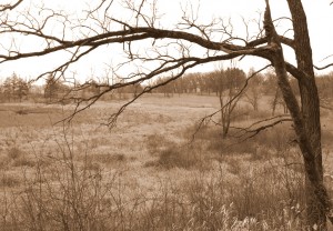 2009_0430glacialpark0184 2009_0430glacialpark0184