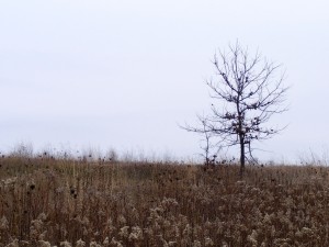 2009_0430glacialpark0190-1 2009_0430glacialpark0190-1