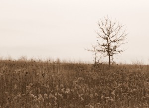 2009_0430glacialpark0190 2009_0430glacialpark0190