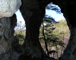 cavepan cavepan