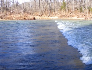 2009_0430Arkansas10459 2009_0430Arkansas10459