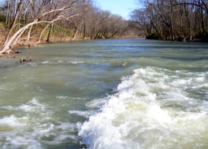 2009_0430Arkansas10461 2009_0430Arkansas10461