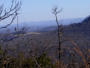 2009_0430Arkansas10477 2009_0430Arkansas10477