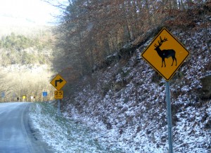 2009_0430Arkansas10488 2009_0430Arkansas10488
