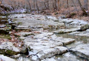 2009_0430Arkansas10490 2009_0430Arkansas10490