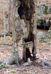 2009_0430Arkansas10491 2009_0430Arkansas10491