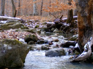 2009_0430Arkansas10494 2009_0430Arkansas10494