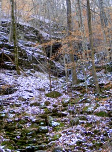2009_0430Arkansas10495 2009_0430Arkansas10495