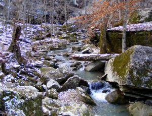 2009_0430Arkansas10498 2009_0430Arkansas10498
