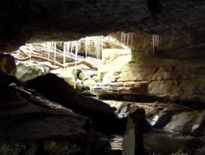 2009_0430Arkansas10504 2009_0430Arkansas10504