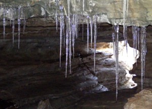 2009_0430Arkansas10510 2009_0430Arkansas10510