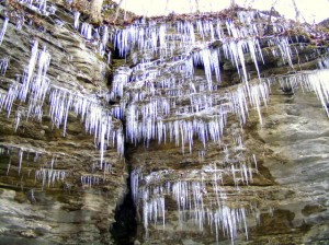 2009_0430Arkansas10515 2009_0430Arkansas10515