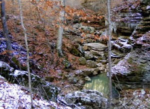2009_0430Arkansas10521 2009_0430Arkansas10521