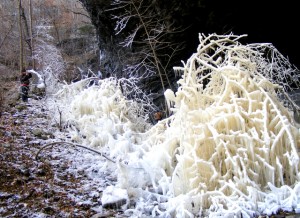 2009_0430Arkansas10527 2009_0430Arkansas10527