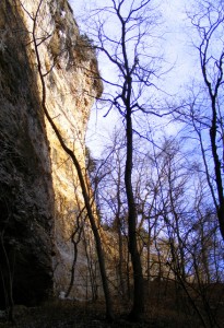 2009_0430Arkansas10528 2009_0430Arkansas10528