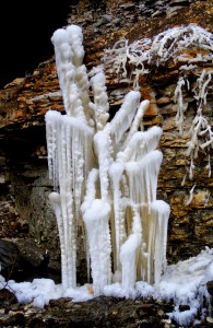 2009_0430Arkansas10530 2009_0430Arkansas10530