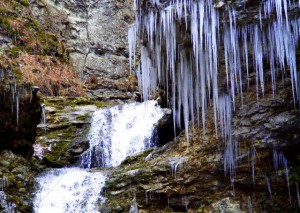 2009_0430Arkansas10545 2009_0430Arkansas10545