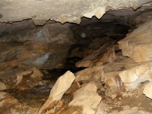 2009_0430Arkansas10550 2009_0430Arkansas10550
