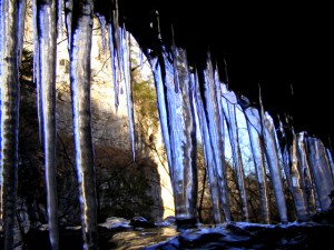 2009_0430Arkansas10561 2009_0430Arkansas10561