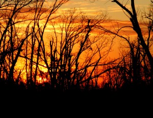 2009_0430Arkansas10616 2009_0430Arkansas10616