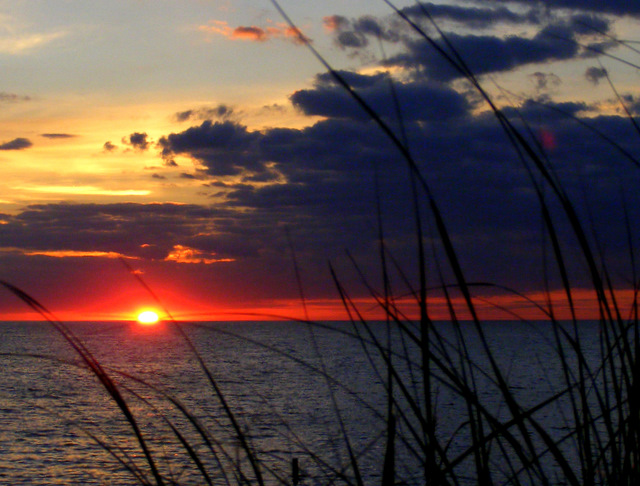 Van Buren State Park, Michigan
