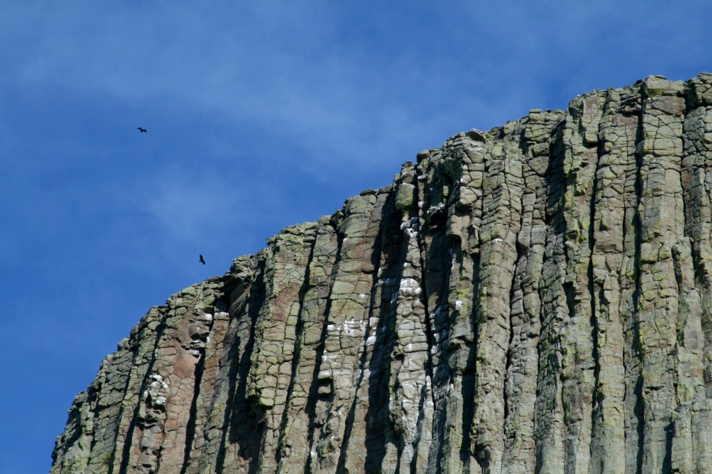 Devil's Tower