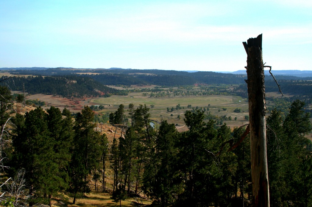 Devil's Tower